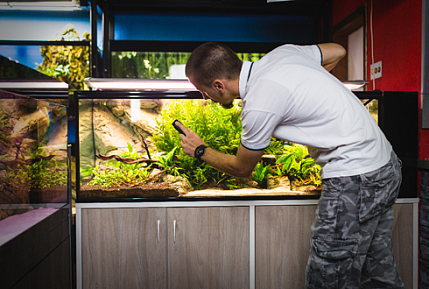 Террариумы